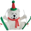 ski-bum-bear