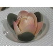 magnolia.2