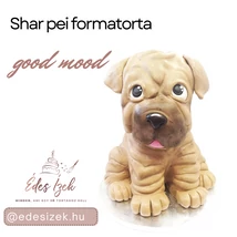 Shar-pei-formatorta