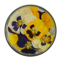 ehető virág árvácska