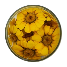 ehető virág margareta