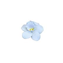 cukorvirag-orchidea