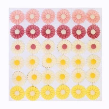 marcipán-margaréta