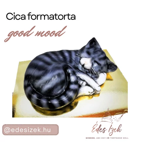 Cica-formatorta