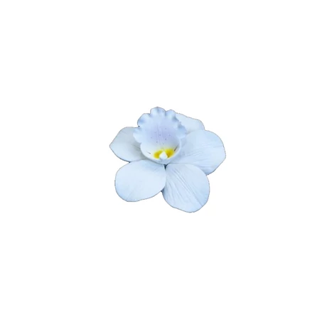 cukorvirag-orchidea