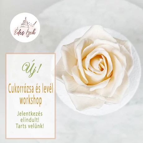 cukorrozsa-es-level-workshop