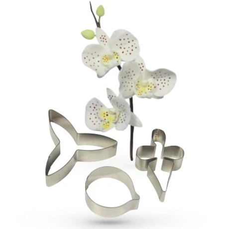 orchidea-kiszuro