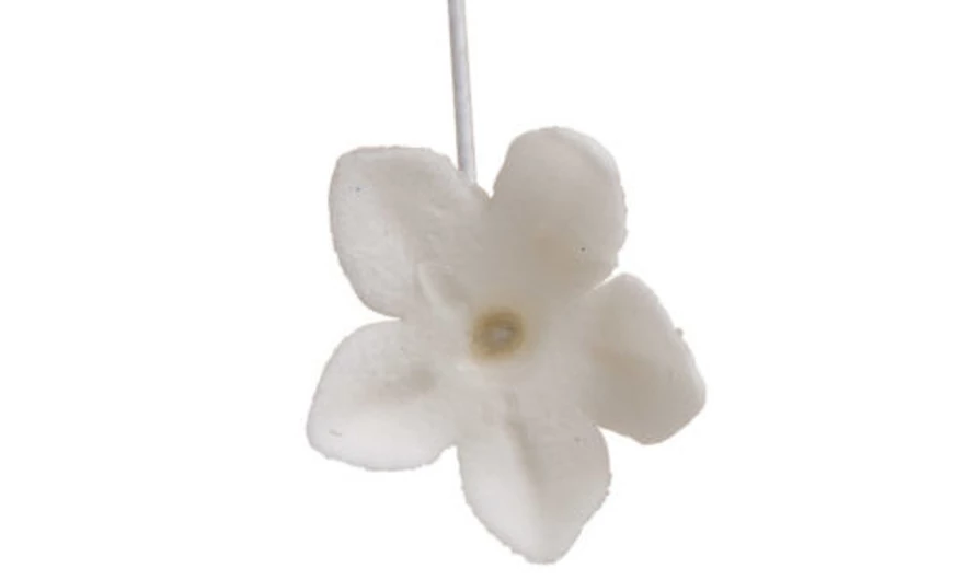 Cukorvirág Stephanotis készítése